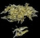 Sluswallow 10 Pcs Simulation Fake Bait Grass Shrimp Lures 4cm Soft Shrimp Bait Fishing Gear CostEffective Convenient Soft Lures Baits and Attractants