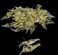 Sluswallow 10 Pcs Simulation Fake Bait Grass Shrimp Lures 4cm Soft Shrimp Bait Fishing Gear CostEffective Convenient Soft Lures Baits and Attractants