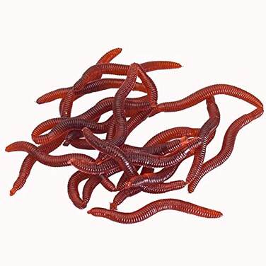 BeeSpring 100PCS Worms Soft Fishing Lure Baits