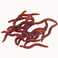 BeeSpring 100PCS Worms Soft Fishing Lure Baits