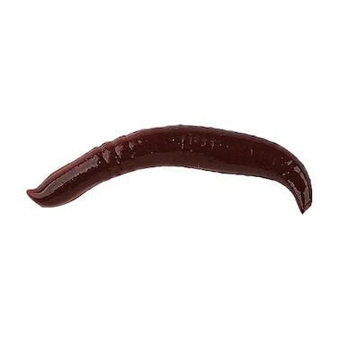 Berkley Gulp Pinched Crawler Fishing Bait Nightcrawler 2in Garlic Scent Extreme Scent Dispersion Realistic Nightcrawler Profile Ideal for Panfish Walleye and More
