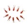 PA Lures Natural Soft Plastic stonefly 20 Pack