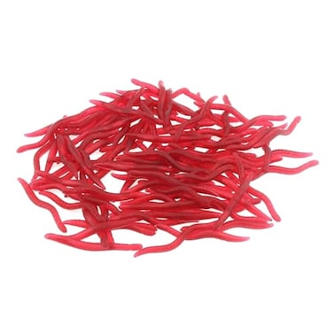 OriGlam 100pcs 15inch Simulation Earthworm Fake Worm Soft Fishing Lures Plastic Fishing Lure Soft Lures Artificial Worm Lures