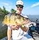 Rapala CrushCity Mayor Soft Plastic Paddle Tail Swimbait Strong Kicking Action for Swim Jigs Underspins Bass Redfish Trout Snook Walleye More Shad 4