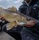 Rapala Rippin Rap Fishing Lure Hard Bait 212 Pink Tiger UV