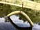 Yum Lures YUM Baits Co Lures YDG559 Dinger Fishing Bait Green PumpkinChartreuse 5
