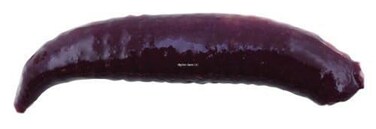 Berkley Gulp Alive Floating Pinched Crawler Fishing Soft Bait Nightcrawler 1in
