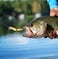 Rapala Jointed Minnow Lure Jointed Hard Bait Bass Pike and Walleye Fishing Lure Wide Swimming Action 2 Silver