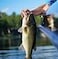 Rapala Jointed Minnow Lure Jointed Hard Bait Bass Pike and Walleye Fishing Lure Wide Swimming Action 2 Silver
