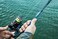 Dobyns Rods Maverick Spinning 69 1 PC 817 LB LINE WT 31658 Lure WeightMedium Fast ActionEVASplit HDL