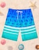 Stadupimry Boys Two Piece Rash Guard and Swim Trunks Outfit Set Kids Short Sleeve Swimsuit