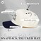 Funky Junque Two Tone Vintage Snapback Hat Hit The Dang Ball NavyBeige