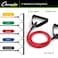 Champion Sports XP Resistance Tube Band Medium Red Strength Training Stretching Rehab Home Workout