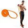 EliteFTS Pro Resistance Band Boost Core Stability and Flexibility with This Portable JointFriendly Tool 41 Long PRO Micro Resistance Band Orange Single