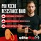 EliteFTS Pro Resistance Band Boost Core Stability and Flexibility with This Portable JointFriendly Tool 41 Long PRO Micro Resistance Band Orange Single