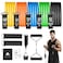 AGM Resistance Bands Set 12pcs Workout Bands with Handles Door Anchor Ankle Straps and Carry Bag Exercise Bands for Shape Body and Home Workouts