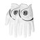 FootJoy Mens WeatherSof 2Pack Golf Glove White Cadet MediumLarge Worn on Left Hand