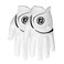 FootJoy Mens WeatherSof 2Pack Golf Glove White Cadet MediumLarge Worn on Left Hand