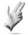 Pins & Pins Aces Palm Sunday Golf Glove Design Premium AAA Cabretta Leather LongLasting Durable Tour Glove for Men or Women Premium Leather Golf Glove Left Right Hand MediumLarge Left