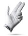 Pins & Pins Aces Palm Sunday Golf Glove Design Premium AAA Cabretta Leather LongLasting Durable Tour Glove for Men or Women Premium Leather Golf Glove Left Right Hand MediumLarge Left