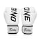 Fairtex BGV1 ONE Muay Thai Boxing Sparring Gloves White 14 oz