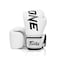 Fairtex BGV1 ONE Muay Thai Boxing Sparring Gloves White 14 oz