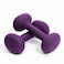 YOTTOY Weights Dumbbells Set for Women2 Pound Dumbbells Set of 2 NonSlip Hand Weights for Home Workouts Portable Strength Training Neoprene dumbbells Purple 2LBPair
