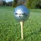 Chromax Metallic M5 Colored Golf Balls 3 Pack Tube Silver M5silver3t