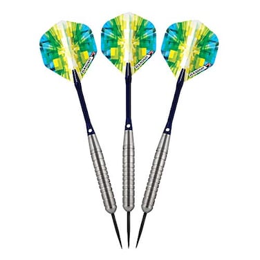 Elkadart unisex adult Prism Steel Tip Darts with Storage Travel Case Silver 24g US