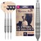 Target Darts Raymond Van Barneveld RVB 25 Year Edition 23G 95 Tungsten Swiss Point Steel Tip Darts Set