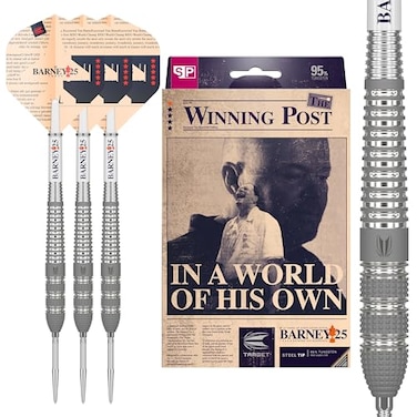 Target Darts Raymond Van Barneveld RVB 25 Year Edition 23G 95 Tungsten Swiss Point Steel Tip Darts Set