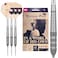 Target Darts Raymond Van Barneveld RVB 25 Year Edition 23G 95 Tungsten Swiss Point Steel Tip Darts Set