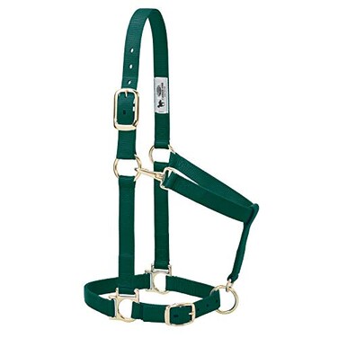 Weaver Equine Weaver Leather Basic Adjustable Nylon Halter Hunter Green 1 Small Horse