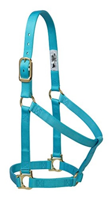 Weaver Equine Weaver Leather Basic NonAdjustable Nylon Horse Halter