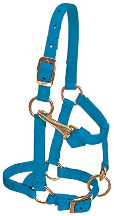 Weaver Leather Nylon Miniature Horse Adjustable Halter Large Hurricane Blue