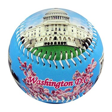 EnjoyLife Inc Washington DC USA Souvenir Baseball
