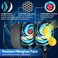 T TICCI Pickleball Paddles Set of 2 USAPA Approved Fiberglass Pickleball Set with 4 Balls Carry Bag Lightweight Rackets for Beginners Adults