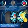 T TICCI Pickleball Paddles Set of 2 USAPA Approved Fiberglass Pickleball Set with 4 Balls Carry Bag Lightweight Rackets for Beginners Adults