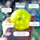 Big Dill Relish Pickleball Balls Pack of 4 with Carry Bag Outdoor Ball with 40 Holes WindResistant Consistent Bounce Durability
