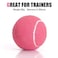 MRYCZ FYRHD 12 Pack Tennis Balls Advanced Pressureless Balls Pet Dog Playing Balls Practice Balls with Mesh Bag and Shock Absorbers for Transport and Beginner Training