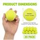 Tebery 20 Pack Orange Advanced Training Tennis Balls Beginner Practice Ball Pet Dog Playing Balls Come with Mesh Bag for Easy Transport