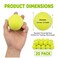 Tebery 20 Pack Orange Advanced Training Tennis Balls Beginner Practice Ball Pet Dog Playing Balls Come with Mesh Bag for Easy Transport
