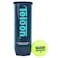 Teloon Championship Tennis Balls Extra Duty Regular Duty Felt Pressurized Tennis Balls 1 Can 3 Balls