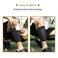 AIMISICAR Kids Youth Soccer Shin Guards with Sleeves for 315 Years Old
