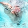 Water Gear Bungee Headband Goggle Strap Swimming and Divers Great Replacement Goggle Strap Comfortable and Will Stay Secured Men Women and Teens Red