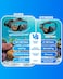 AQUA A Diving mask AntiFog Swimming Snorkel mask Suitable for Adults Scuba Dive Swim Snorkeling Goggles Masks