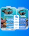 AQUA A Diving mask AntiFog Swimming Snorkel mask Suitable for Adults Scuba Dive Swim Snorkeling Goggles Masks