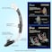 Seavenger Diving Dry Top Snorkel Set with Trek Fin Single Lens Mask and Gear Bag SM Size 45 to 85 GrayClear Red