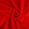 PINGEUI 10 Yards x 65 Inches Red Velvet Fabric Low Stretch Velvet Fabric by The Yard for Sewing Craft Making Home Decoration DIY Crafts