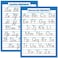 Palace Learning ABC Alphabet Cursive Chart Manuscript Poster Laminated 2 Poster Set Laminated 18 x 24